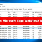 Microsoft Edge Webview2 Runtime [Fix High Cpu & Ram Usage]
